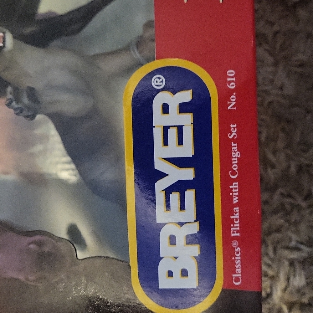 Flicka - Picture 2 of 4